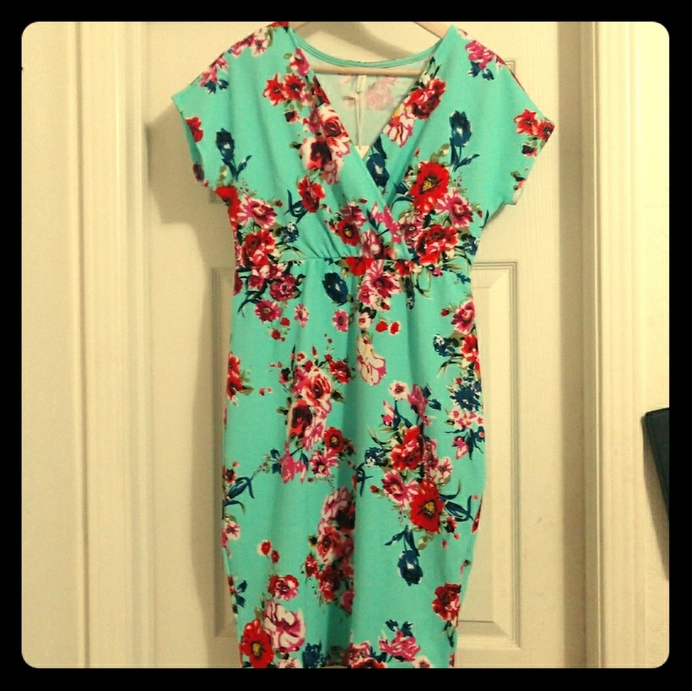 PinkBlush Maternity Dress